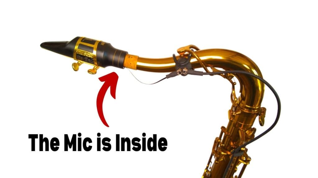 intraMic Review