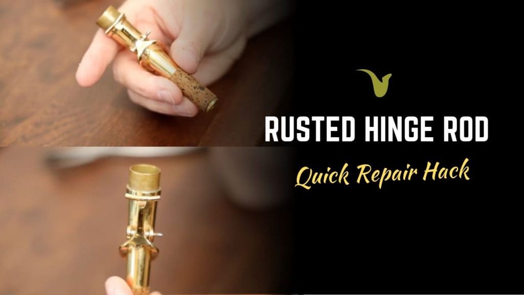 Rusted Hinge Rod