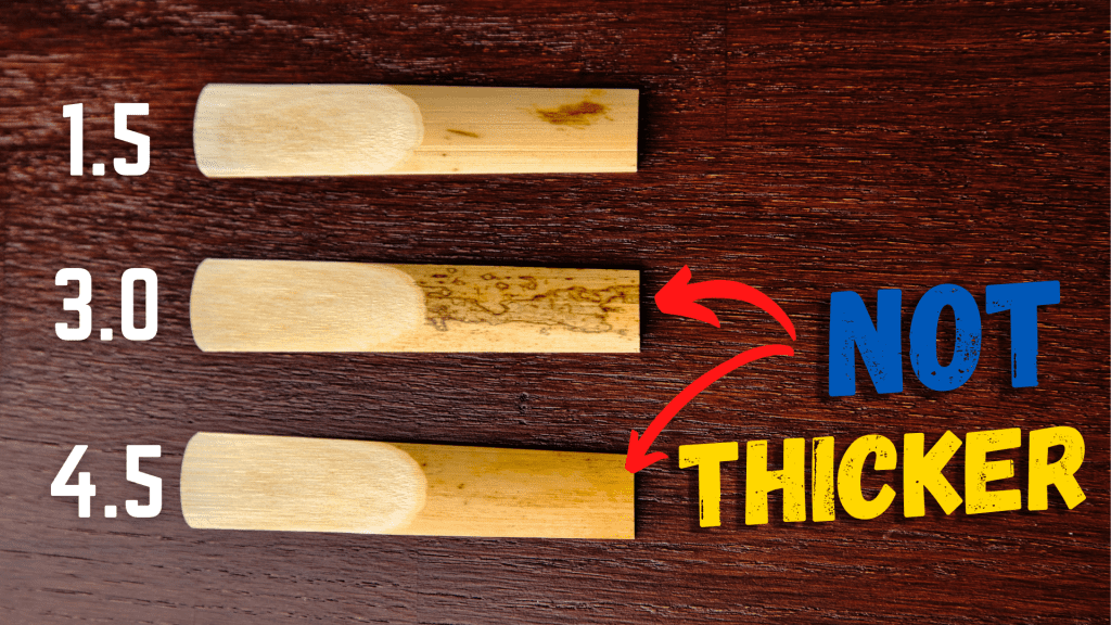 SAXOPHONE REEDS